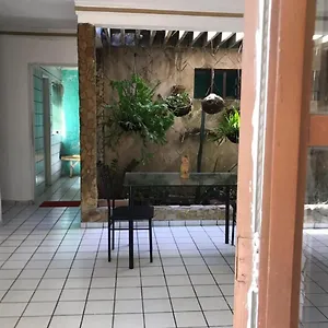 Elizondo Natal